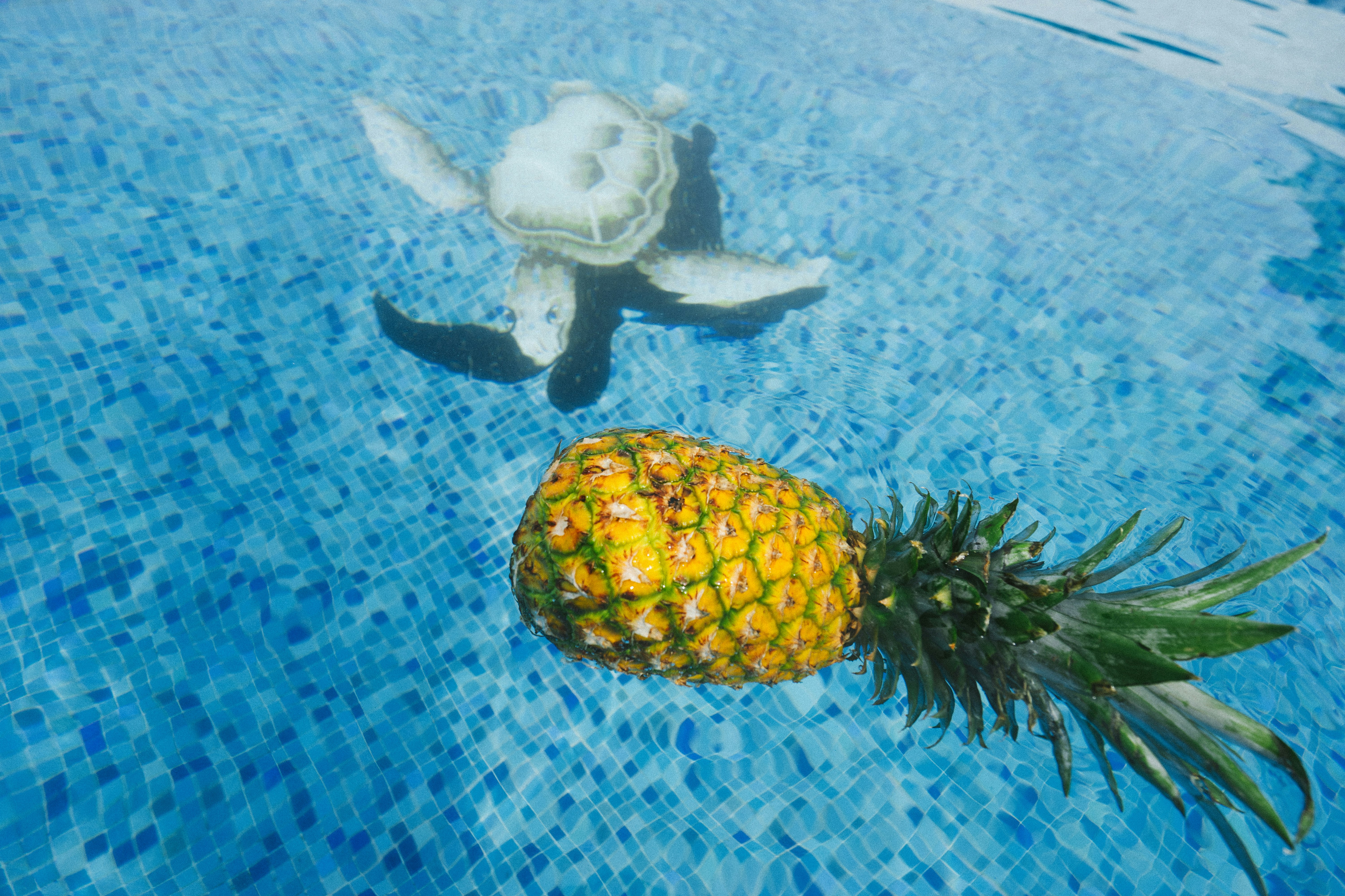 pineapple on body of water